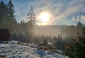 Winterstimmung mit Schnee und Sonne über dem Wald